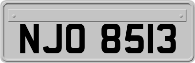 NJO8513