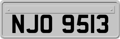 NJO9513