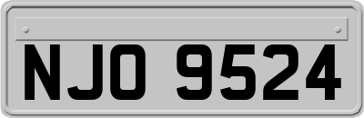 NJO9524