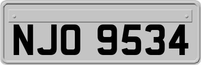 NJO9534