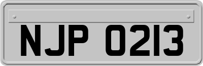 NJP0213