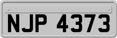 NJP4373