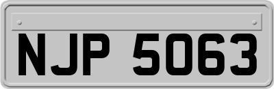 NJP5063