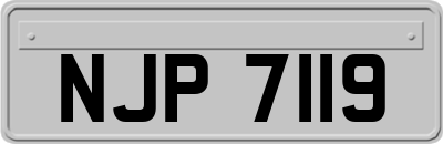 NJP7119