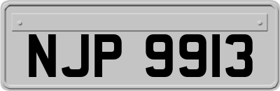 NJP9913
