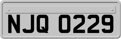 NJQ0229