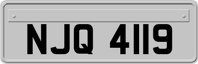 NJQ4119