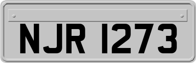 NJR1273