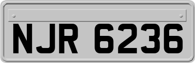 NJR6236