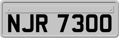 NJR7300