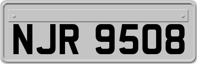 NJR9508