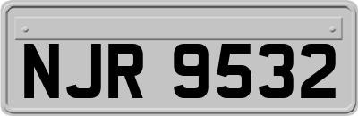 NJR9532