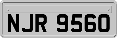 NJR9560