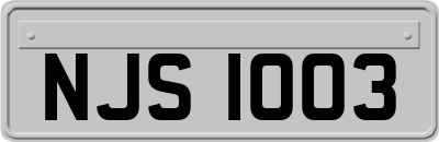 NJS1003