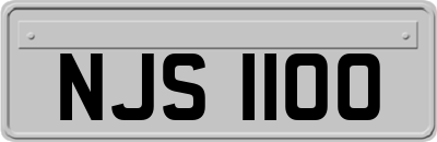 NJS1100