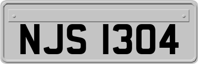 NJS1304