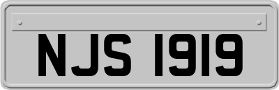 NJS1919