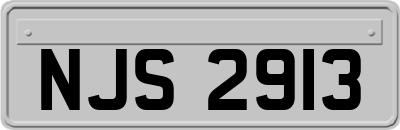 NJS2913