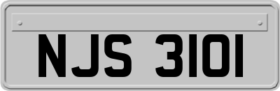 NJS3101
