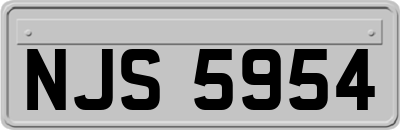 NJS5954