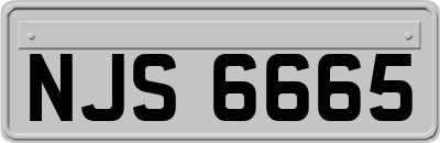 NJS6665