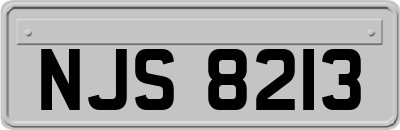 NJS8213