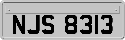 NJS8313