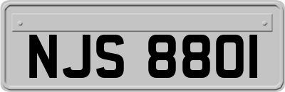 NJS8801
