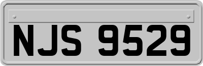 NJS9529