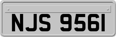 NJS9561