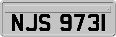 NJS9731
