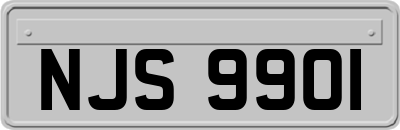 NJS9901