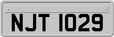 NJT1029