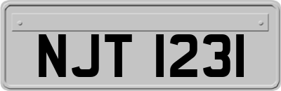 NJT1231