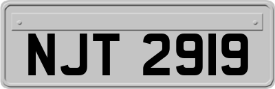NJT2919