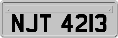 NJT4213