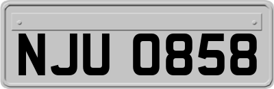 NJU0858