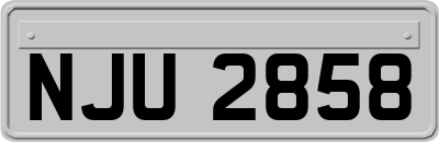 NJU2858