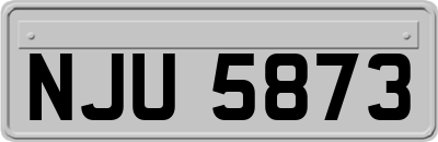 NJU5873