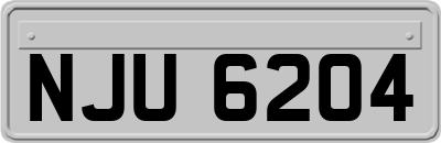 NJU6204
