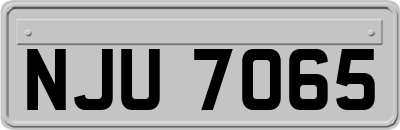 NJU7065