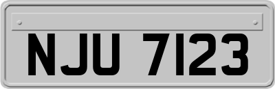 NJU7123