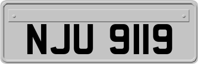 NJU9119