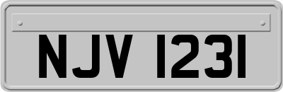 NJV1231
