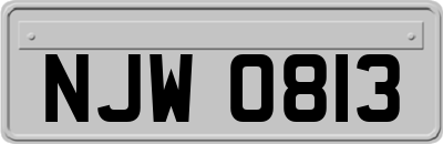 NJW0813