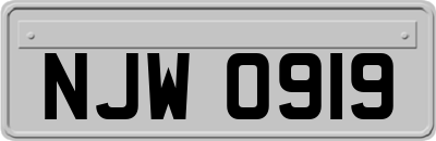 NJW0919