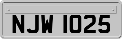 NJW1025