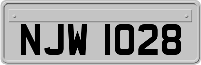 NJW1028