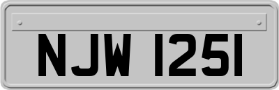 NJW1251