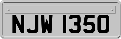 NJW1350